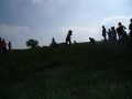 DSCF2039 (Medium)
